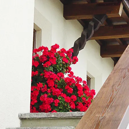 Hotel Biopension Alpenheim Fiss